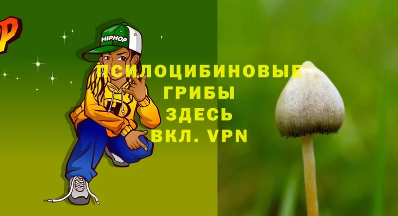 hydra рабочий сайт  Дрезна  Псилоцибиновые грибы Cubensis 